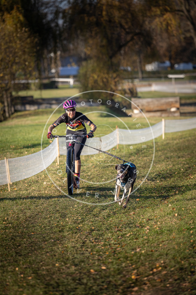 CaniXpix_DV3A1475 | Hundefotografie, Tierfotograf, Pfotenfotografie, Fotoshooting Hund, Hunde Portrait, Hundesport, Hundeportraits, Heideshooting, Hunde, Sportfotograf, Hundefotograf, Turnierhundsport, THS,  - Realisiert mit Pictrs.com
