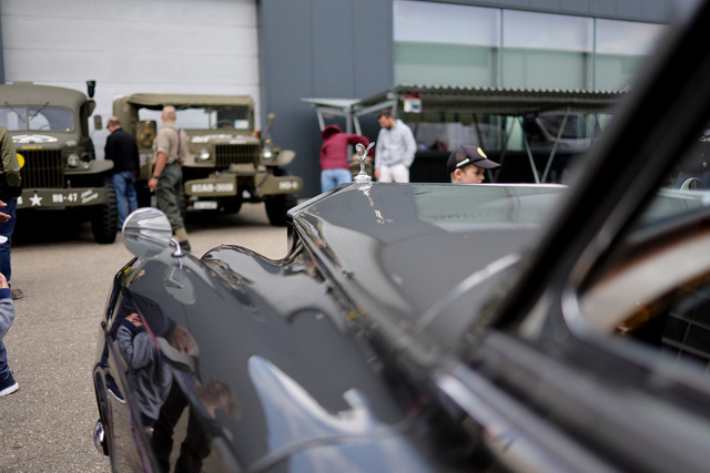 Calag_Oldtimer2025-43 | Ich fotografiere Hundeausstellungen, Sportanlässe, Zuchtstätten, Hundezucht, Hundeportrait, Lagotto - Realisiert mit Pictrs.com