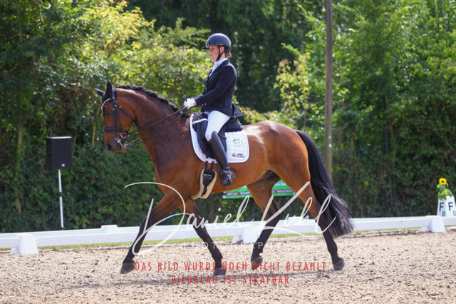 DKP40994 | Turniersportfotografie; Pferdefotografie; Dressurfotografie