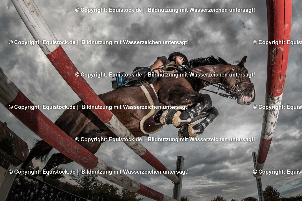 TS_20170929_Sprung_vonunten_0001 | Foto: Thomas Hartig