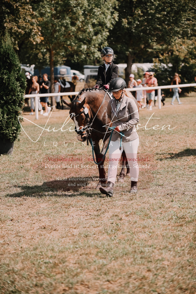 DSC_5946 | Pferde- und Turnierfotografie in Westsachsen. Pferdeportraits, Auftragszeichnungen und intuitive Kunst.