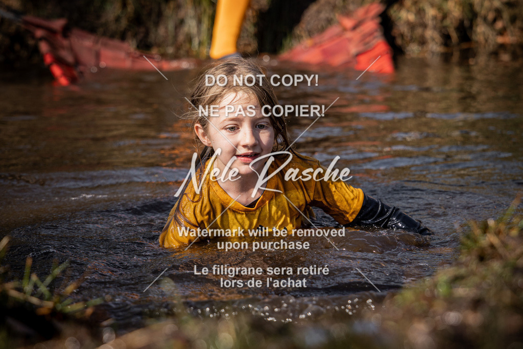 nelerasche_FS1300-1330_10 | nelerasche