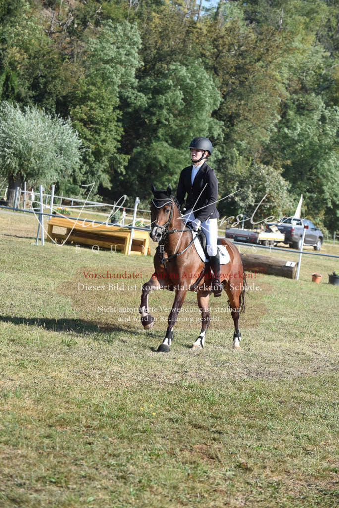 DSC_5422 | Pferde- und Turnierfotografie in Westsachsen. Pferdeportraits, Auftragszeichnungen und intuitive Kunst.