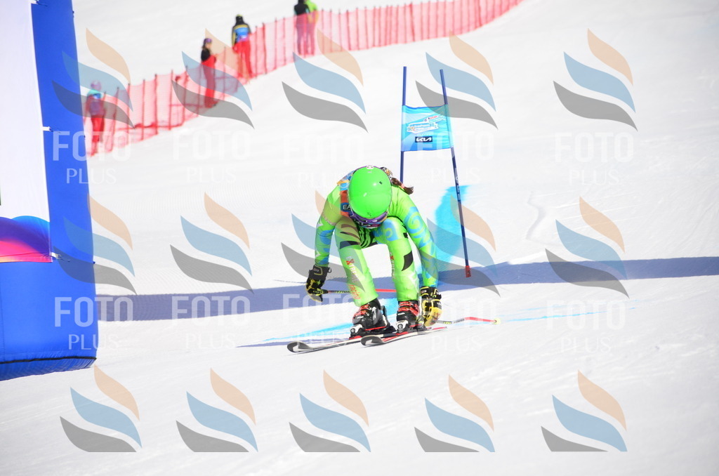 VR4_9085 | holidayphoto