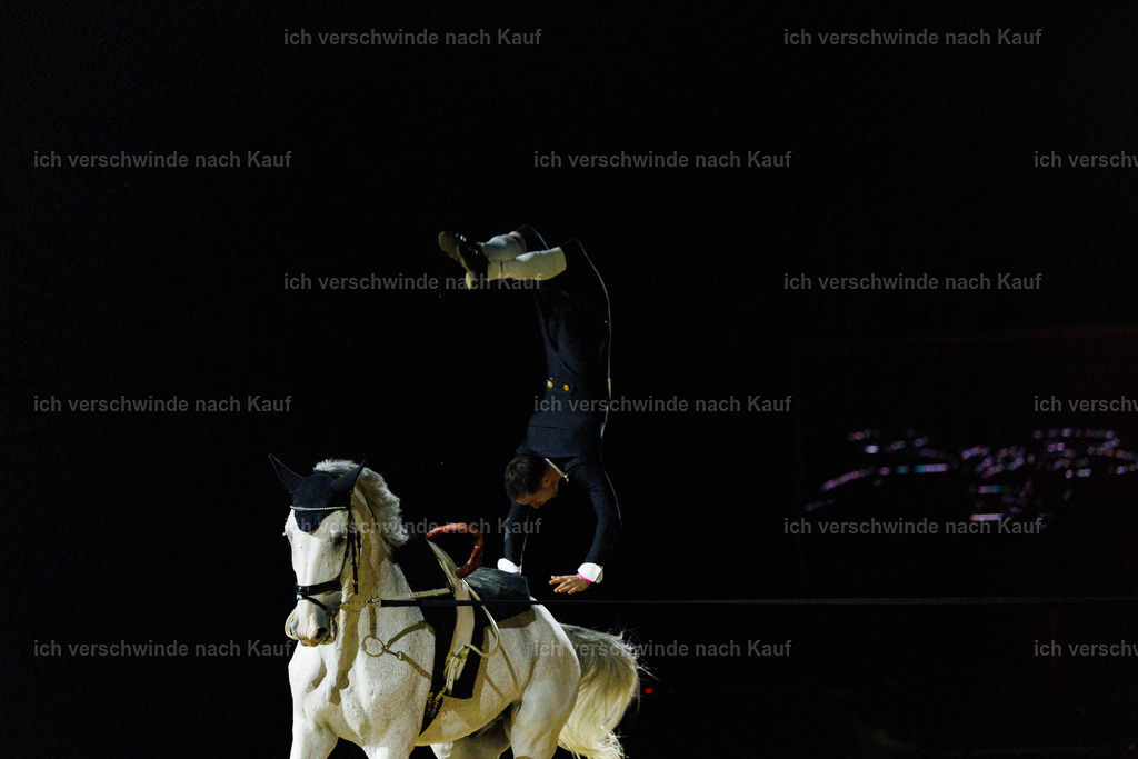 FHClassics-204 | working equitationturnier fotograf videograf stoibphotography marixx film working equitation deutschland reitsport turnierfotografie eventfotografie equestrian events