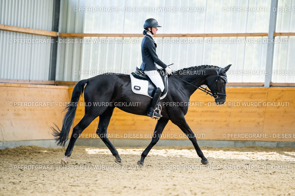 DSC05832 | Pferdegrafie