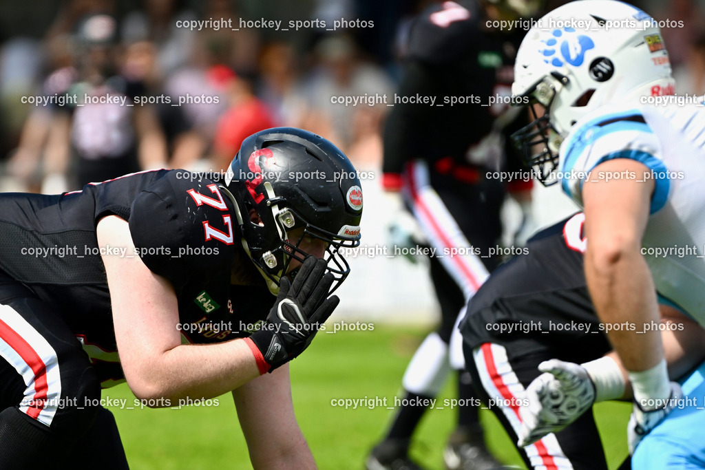 Carinthian Lions vs. Styrian Bears | Carinthian Lions vs. Styrian Bears, Carinthian Lions vs. Styrian Bears am 20.05.2024 in Klagenfurt (ASV Sportplatz), Austria, (Photo by Bernd Stefan)