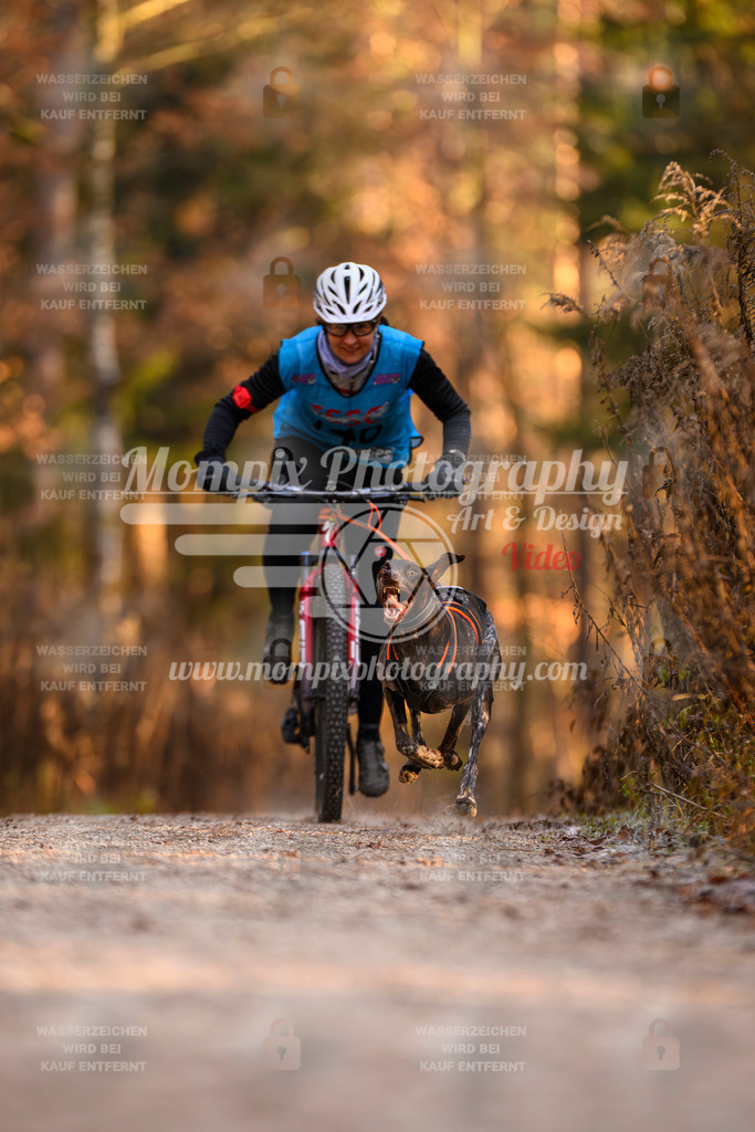 MompixPhotography_DM_AKDM_SO_2025_Bike-61 | PayLife