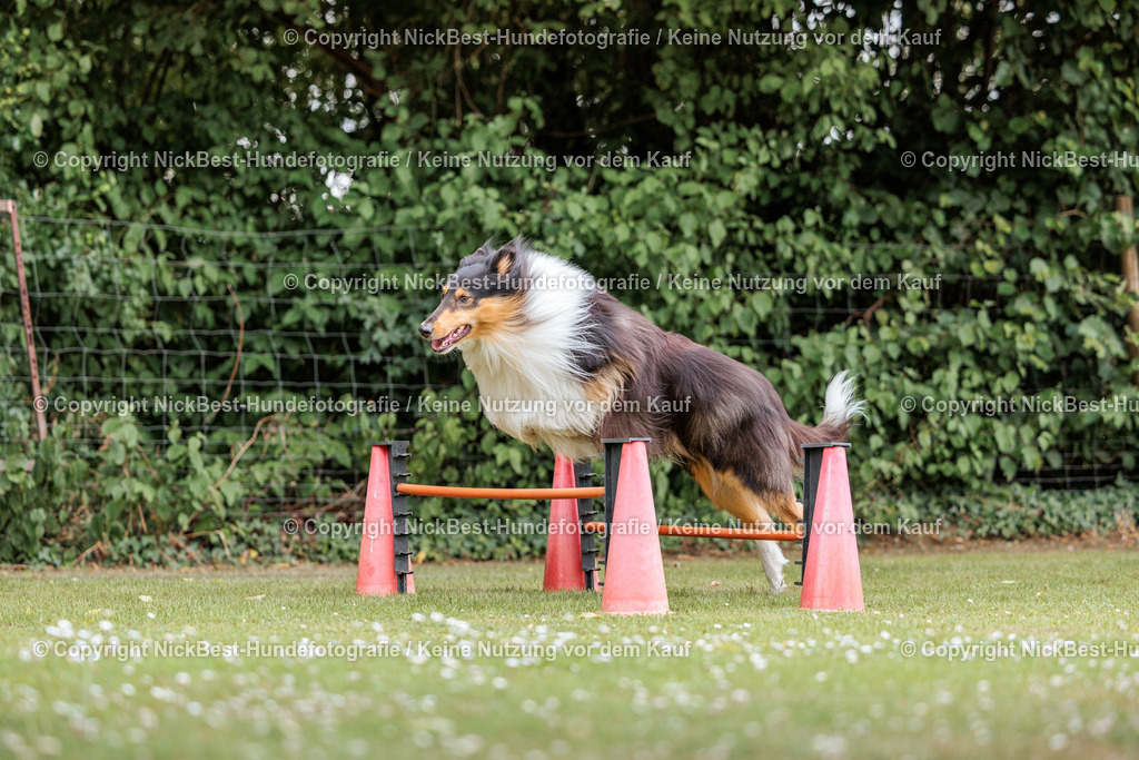 THS-Quakenbrück-2026-Nickbest-Hundefotografie-4595 | Dein Hund! Dein Moment! Deine Erinnerungen! Hundefotografie in Bremen Blumenthal. Ich fange die besonderen Momente deines Vierbeiners ein – ob Indoor mit Blitzanlage oder in der freien Natur. Sicher dir dein Moment und dein Termin für eure Erinnerungen.