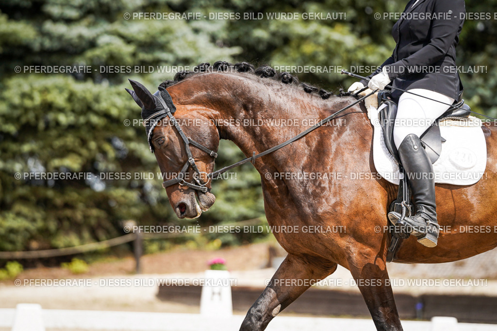 DSC03515 | Pferdegrafie