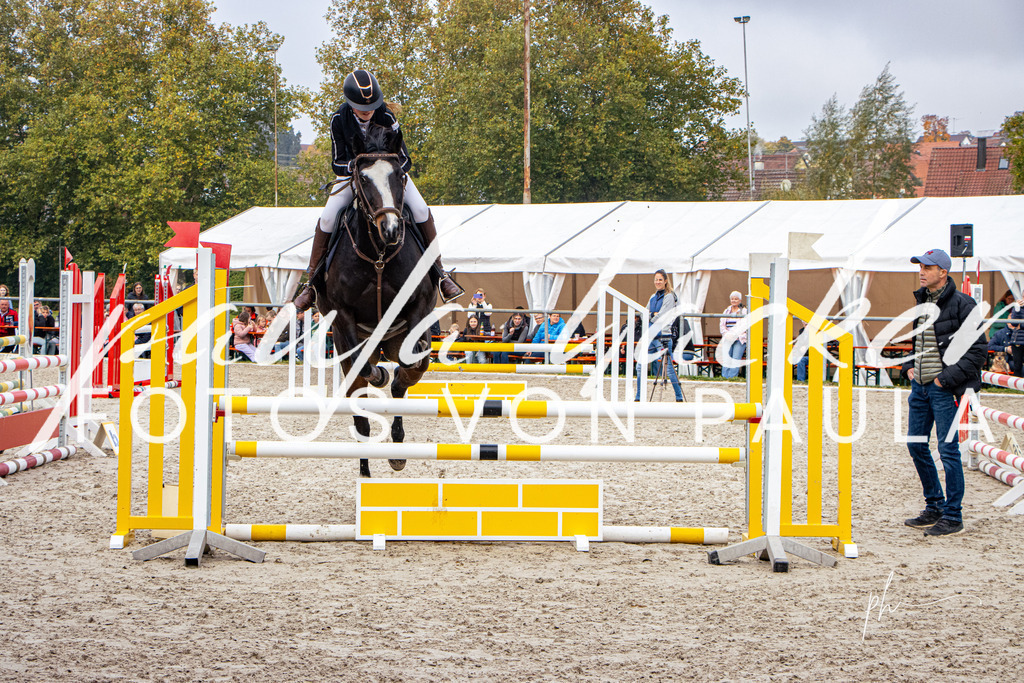 IMG_3158 | Erleben Sie dynamische Sport- und emotionale Tierfotografie in Süddeutschland mit Fotos von Paula. Spezialisiert auf Pferde- und Hundefotografie sowie Sportevents. Kontaktieren Sie mich für einzigartige und ausdrucksstarke Bilder Ihrer besonderen Momente. - Realisiert mit Pictrs.com