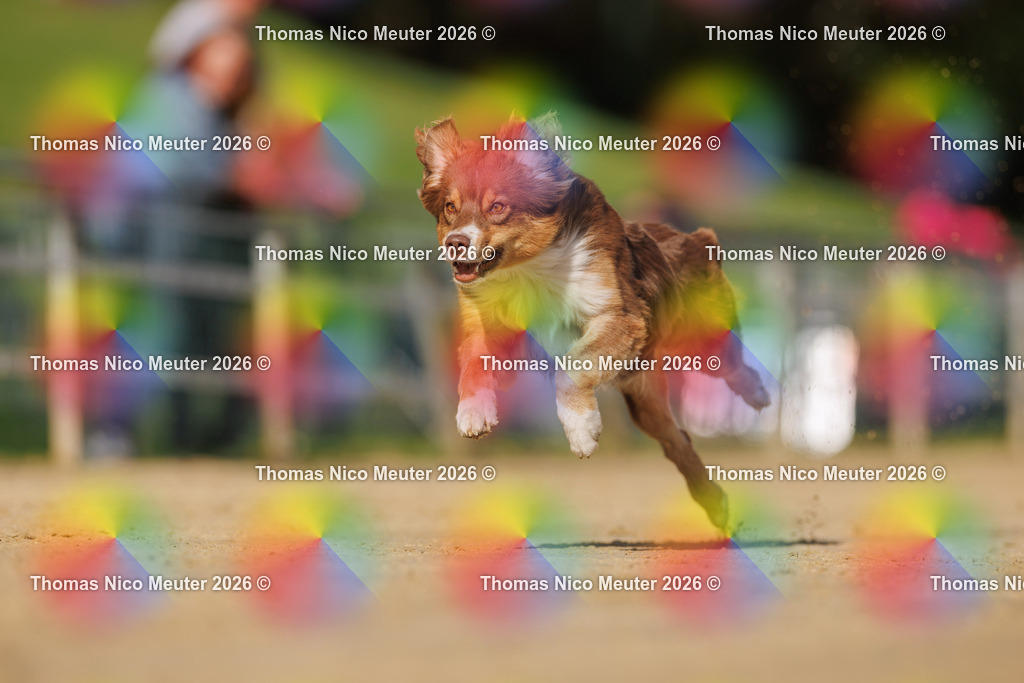 Thomas_Nico_Meuter(C)_03. Oktober 2026_223A3674 | Bild von Thomas Nico Meuter - Realisiert mit Pictrs.com