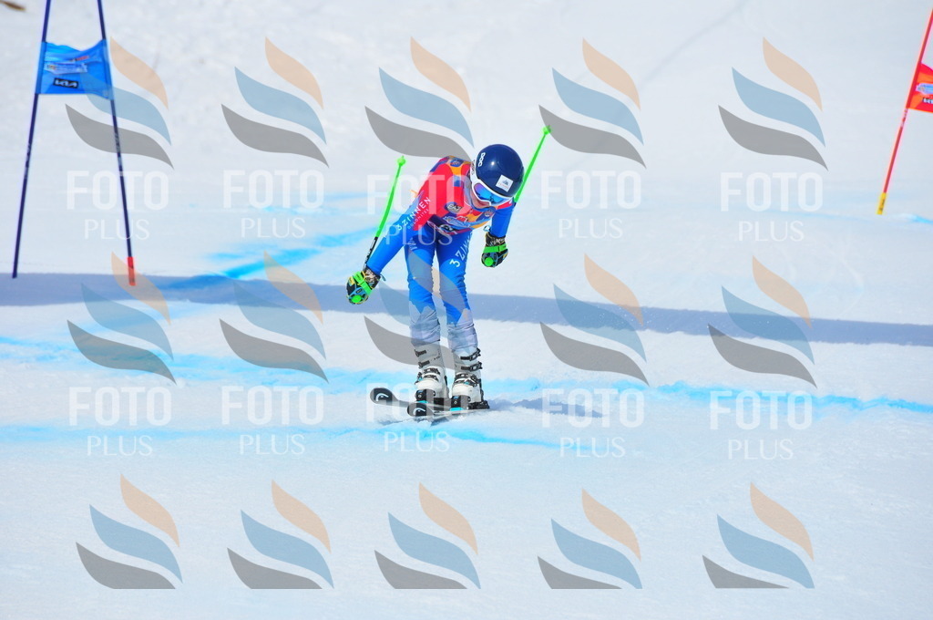 DSC_7247 | holidayphoto