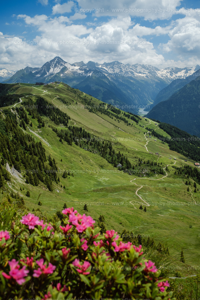 Sommer Tux copyright  Thomas Pfister-4 | PHOTOGRAPHY BY THOMAS PFISTER