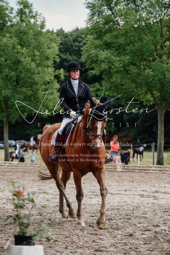 DSC_0685 | Pferde- und Turnierfotografie in Westsachsen. Pferdeportraits, Auftragszeichnungen und intuitive Kunst.