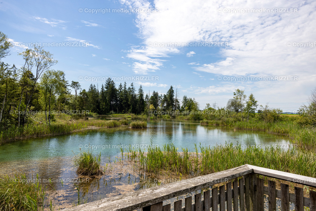 _J3A5438 | medienkrizzler - Realisiert mit Pictrs.com