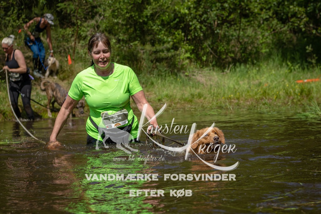 1210DKK992037 | kk-dogfotos