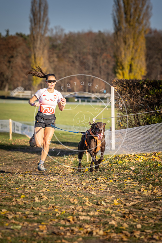 CaniXpix_DV3A2027 | Hundefotografie, Tierfotograf, Pfotenfotografie, Fotoshooting Hund, Hunde Portrait, Hundesport, Hundeportraits, Heideshooting, Hunde, Sportfotograf, Hundefotograf, Turnierhundsport, THS,  - Realisiert mit Pictrs.com