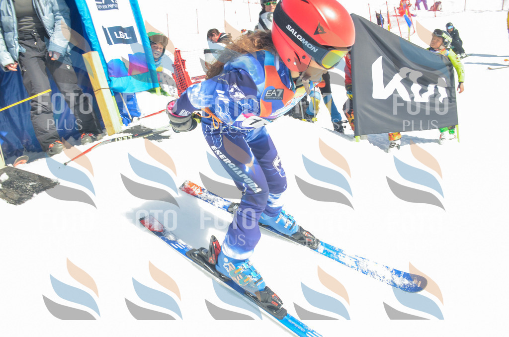 _ELE5964 | holidayphoto