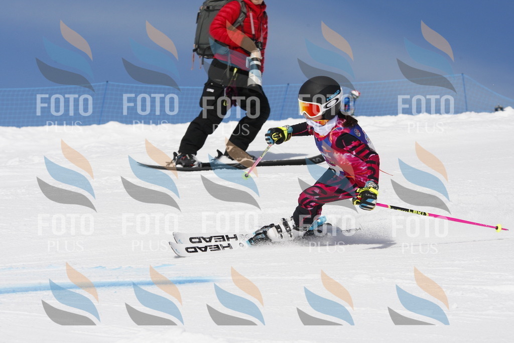 _W1G1488 | holidayphoto