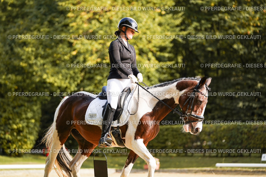 DSC05624 | Pferdegrafie