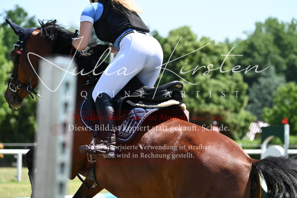 DSC_0675 | Pferde- und Turnierfotografie in Westsachsen. Pferdeportraits, Auftragszeichnungen und intuitive Kunst.