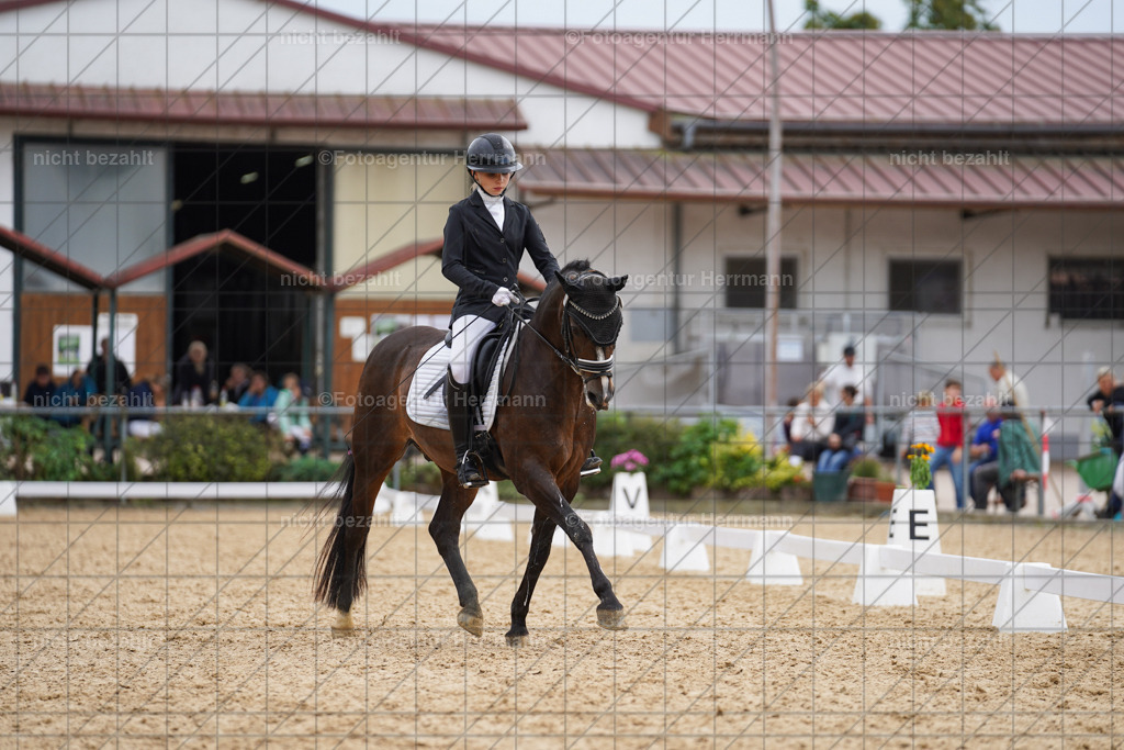 20240825-FAH00091 | Turnierbilder, Reitsportfotos, LAPO, Landesponyturnier, Turnierfotografen Bayern