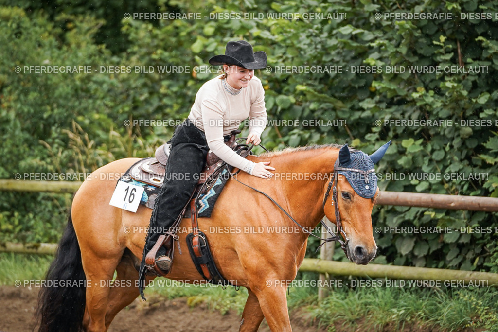 DSC04508 | Pferdegrafie