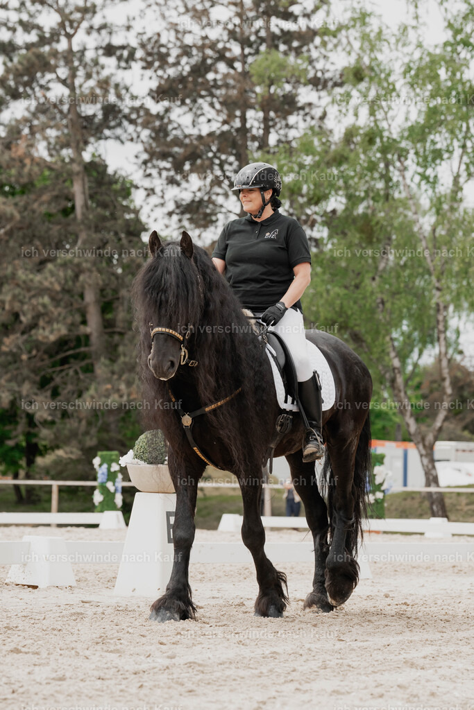 Showprogramm-173 | working equitationturnier fotograf videograf stoibphotography marixx film working equitation deutschland reitsport turnierfotografie eventfotografie equestrian events