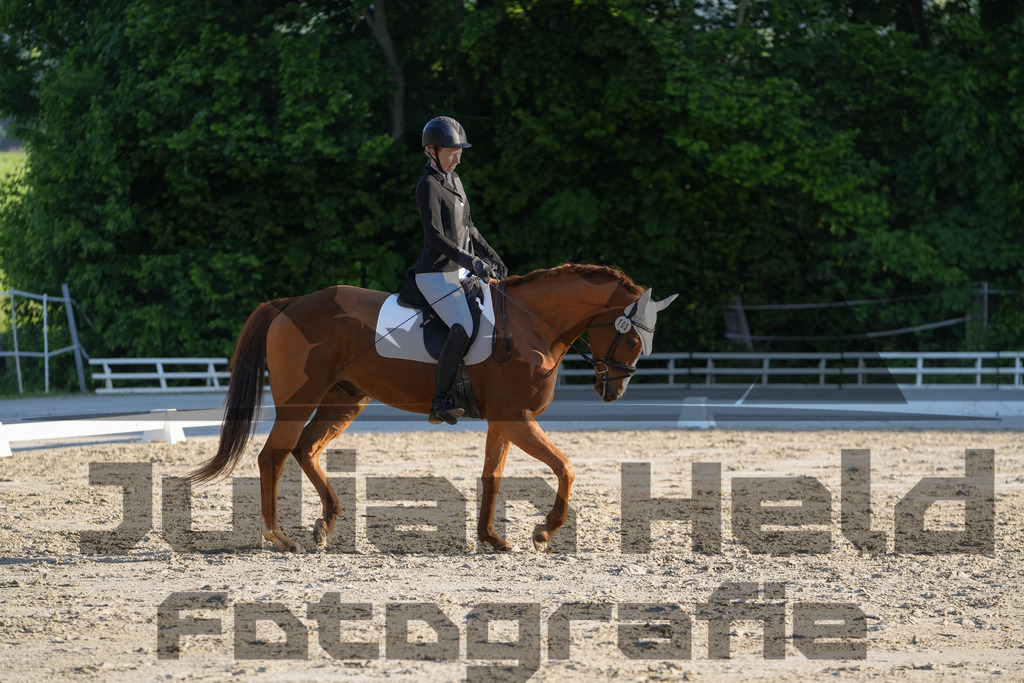 DSC02637 | Julian Held Fotografie - Realisiert mit Pictrs.com