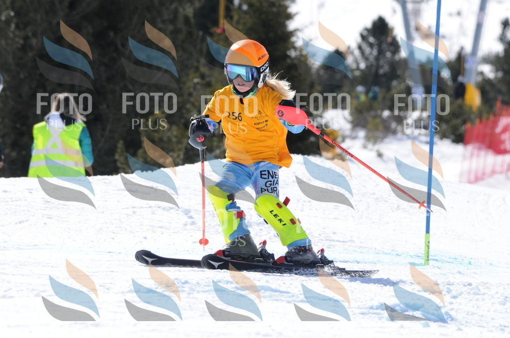 C8884 | holidayphoto