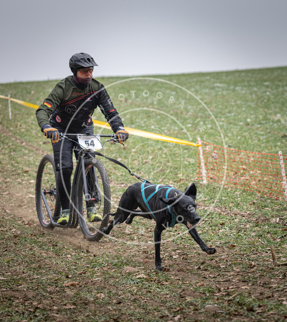 Pfotenfotografie_DV3A1148 | Hundefotografie, Tierfotograf, Pfotenfotografie, Fotoshooting Hund, Hunde Portrait, Hundesport, Hundeportraits, Heideshooting, Hunde, Sportfotograf, Hundefotograf, Turnierhundsport, THS,  - Realisiert mit Pictrs.com