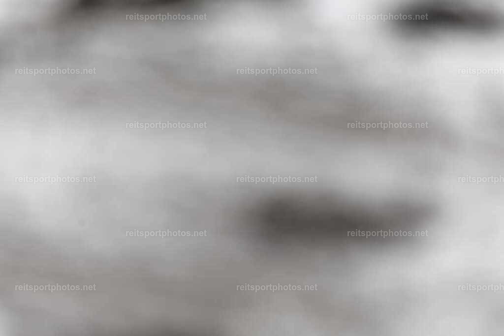 JoYaR3_Heidehof_00416 | JoYa Fotografie - Realisiert mit Pictrs.com