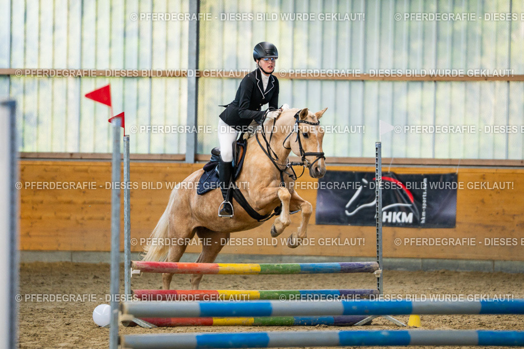 DSC00850 | Pferdegrafie