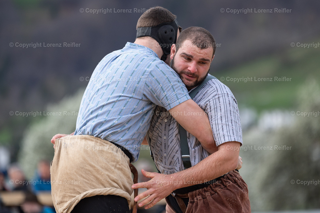 Schwingen -  Rheintal-Oberländer 2024 | Trübbach, 24.3.24, Schwingen - Rheintal-Oberländer.