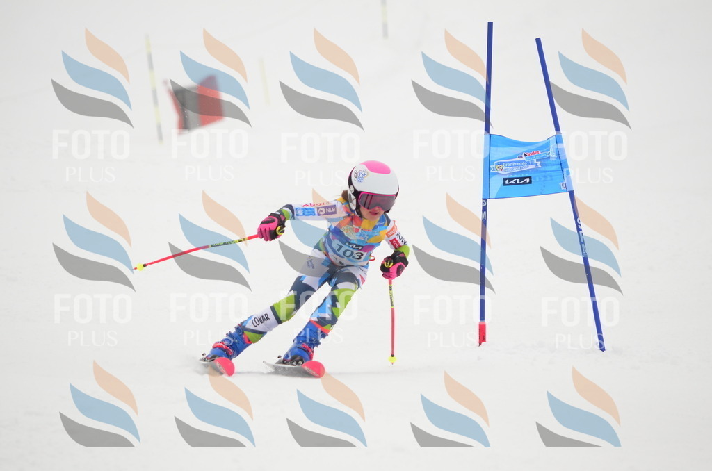 C1401 | holidayphoto