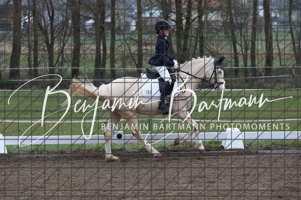 AZ2A3834 | Benjamin Bartmann Photomoments