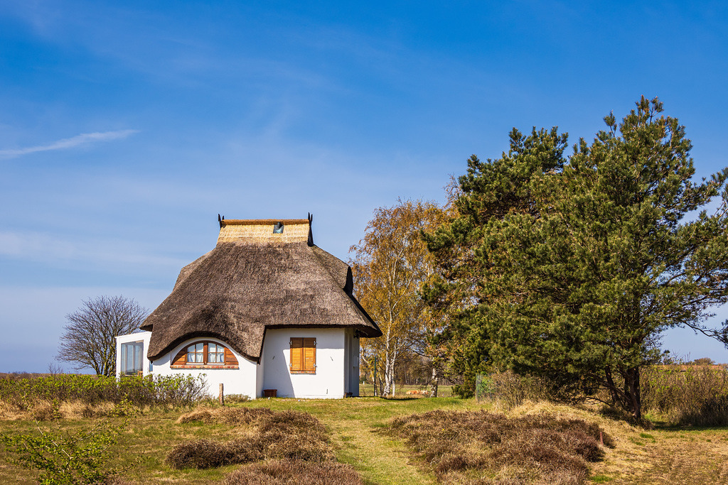 Ferienhaus zwischen Vitte und Neuendorf auf der Insel Hiddensee | Ferienhaus zwischen Vitte und Neuendorf auf der Insel Hiddensee.