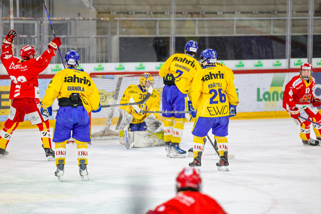 EHCB vs HCD-0316 | Sportbilder, Sportfotograf, Hochzeits- und Eventfotografin, Flugshows, Portraits und Tiershooting, Aviation, Downhill, Nationalleague, Swissleague, International