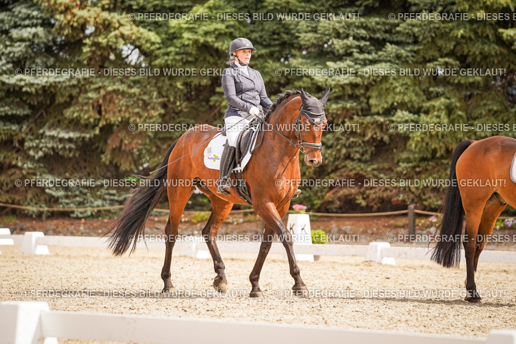 DSC01660 | Pferdegrafie