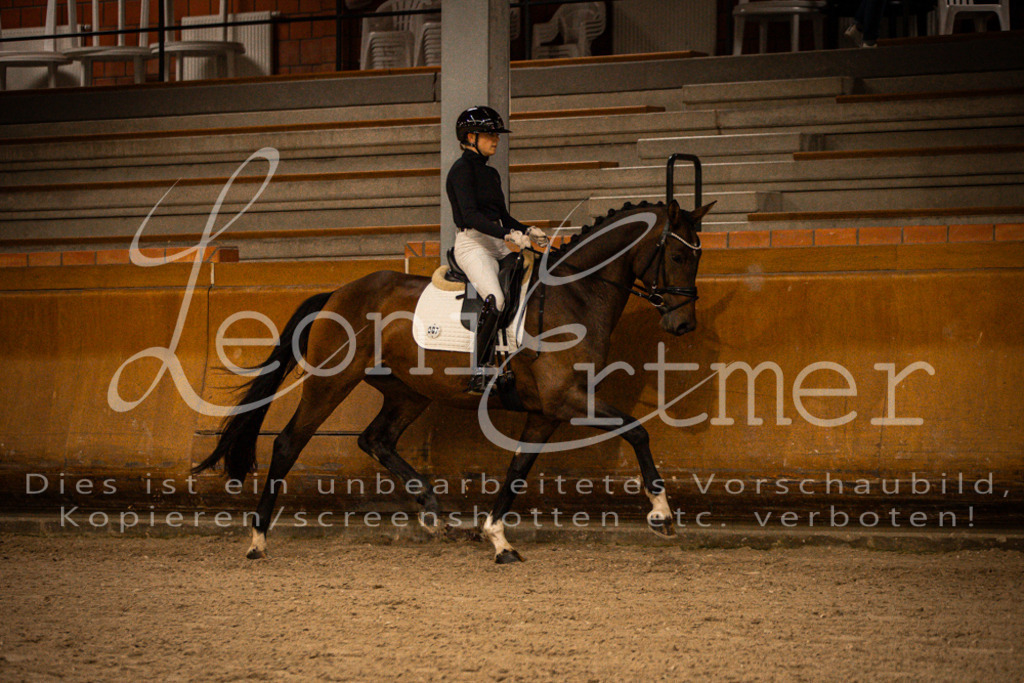 1Reiten00023 | Leoni Ertmer Photography - Realisiert mit Pictrs.com