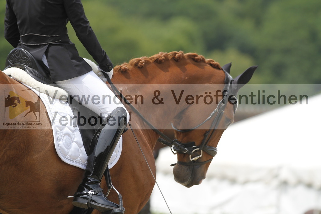 _MG_9148 | equestrian-live-com