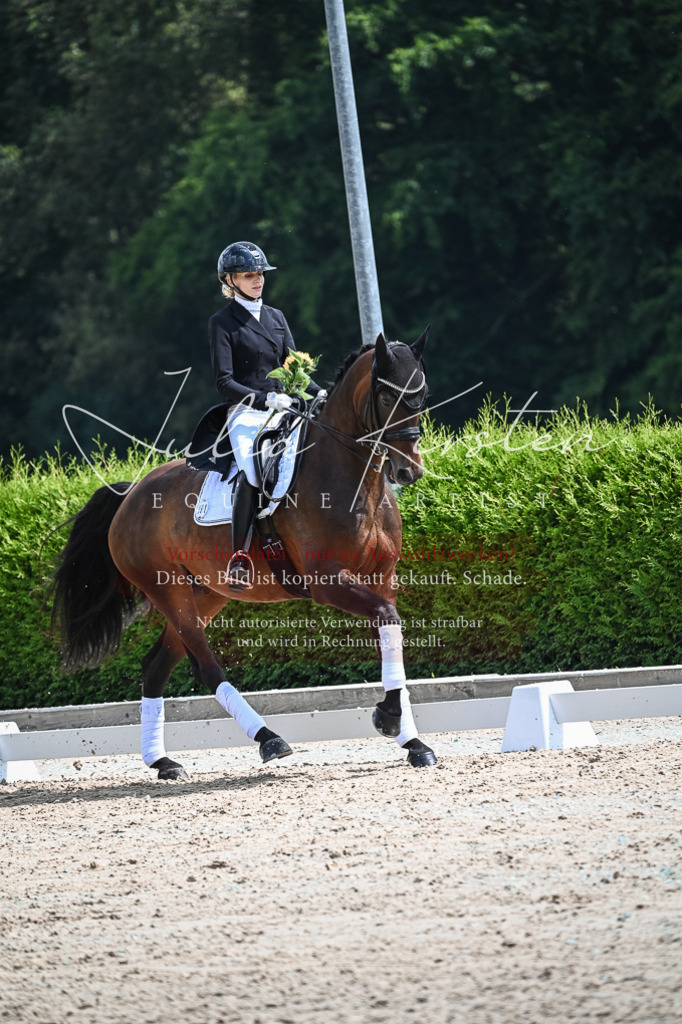 DSC_2664 | Pferde- und Turnierfotografie in Westsachsen. Pferdeportraits, Auftragszeichnungen und intuitive Kunst.