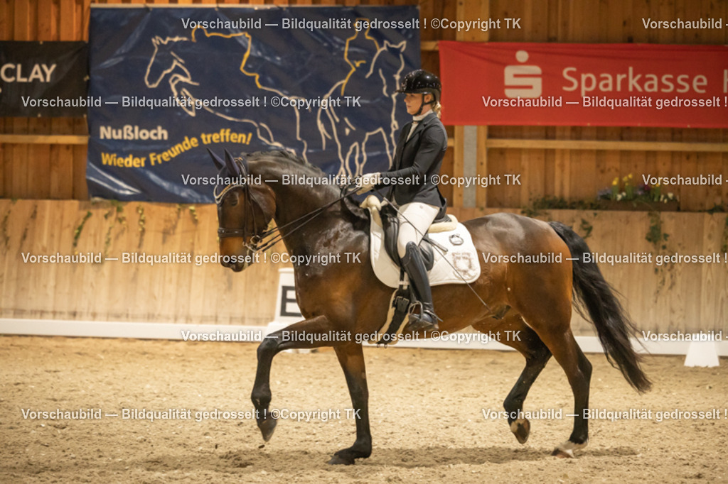 _D5A4028 | Emotionale Pferde- & People-Fotografie rund um Heidelberg, Leimen & Umgebung. Natürliche Fotos von Pferd, Mensch & Familie. Jetzt Termin sichern!