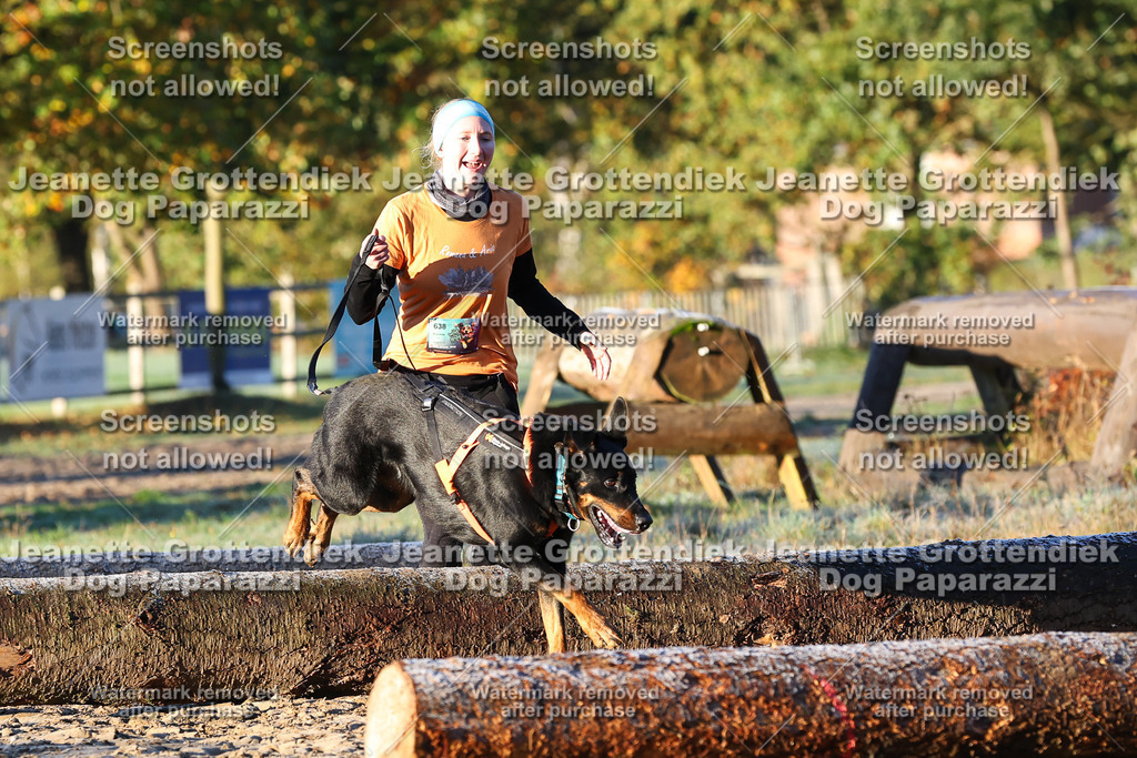 Dog Paparazzi - Strongdog 10-25-587 | Dog Paparazzi Jeanette Grottendiek Fotografie & Videografie - Realisiert mit Pictrs.com