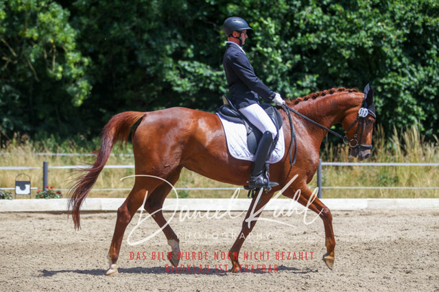 DKP46351 | Turniersportfotografie; Pferdefotografie; Dressurfotografie