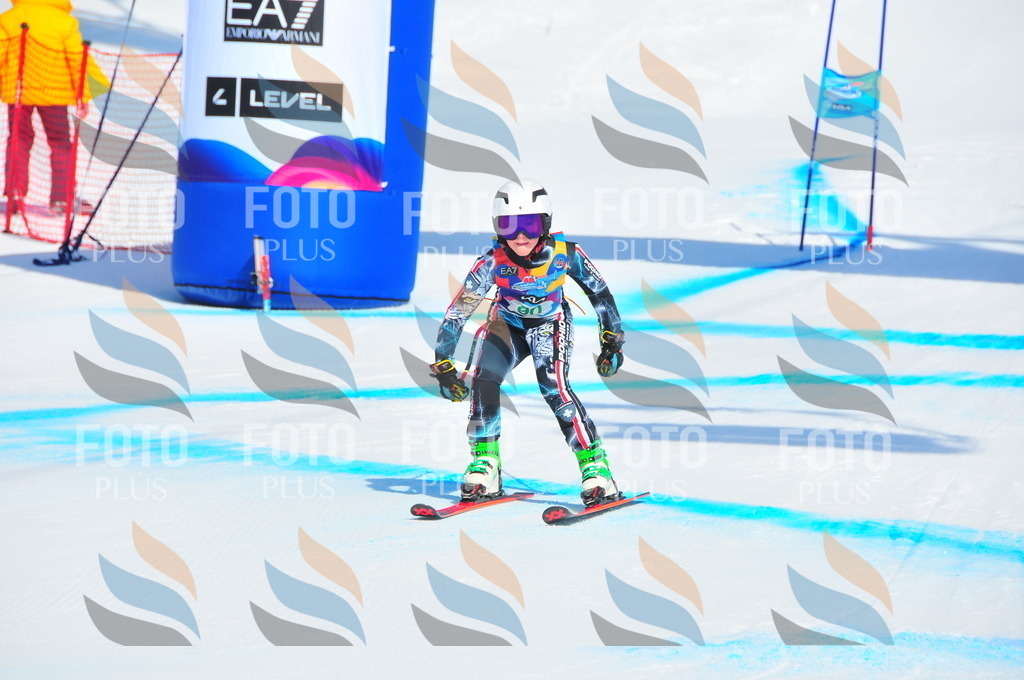 DSC_0584 | holidayphoto