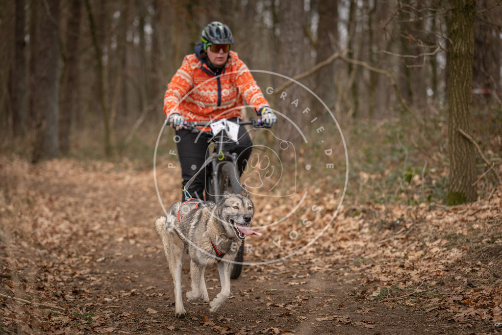 Pfotenfotografie_DV3A7140 | Hundefotografie, Tierfotograf, Pfotenfotografie, Fotoshooting Hund, Hunde Portrait, Hundesport, Hundeportraits, Heideshooting, Hunde, Sportfotograf, Hundefotograf, Turnierhundsport, THS,  - Realisiert mit Pictrs.com
