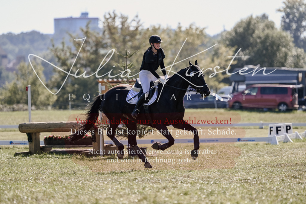 DSC_3493 | Pferde- und Turnierfotografie in Westsachsen. Pferdeportraits, Auftragszeichnungen und intuitive Kunst.