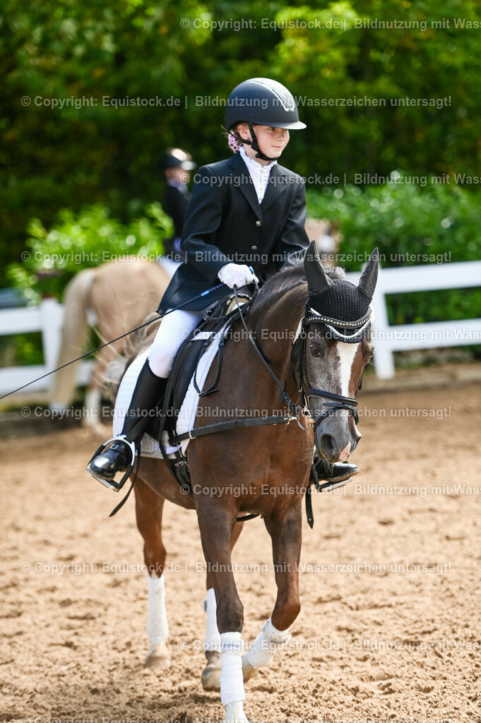 20230716_10-3_Reiter-WB Schritt - Trab - Galopp_0070 | equistock